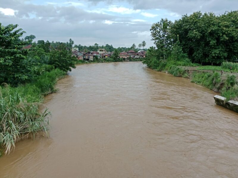 Foto : Kondisi sungai musi di Kecamatan Tebing Tinggi, Kabupaten Empat Lawang, Minggu (11/01).